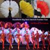 30*52cm 35*60cm Folding Fan 12 Bones Carnival Belly Dance Stage Fan New Handheld Feather Fan