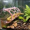 Plastic Reptile Climbing Shelf Honeycomb Design Lizard Toy Tunnel Reptile Hiding Cave  Vivarium
