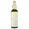 Original Flower Therapy, Horse Chestnut, 20Ml (0.7Fl Oz)