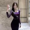 Sequin Patchwork Slim Fit Mesh Dress - Women's Long Sleeve, See-through Design for Spring/Autumn