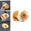 Lifelike Orange Guinea Pig Plush Toy For Children's Collection Gifts