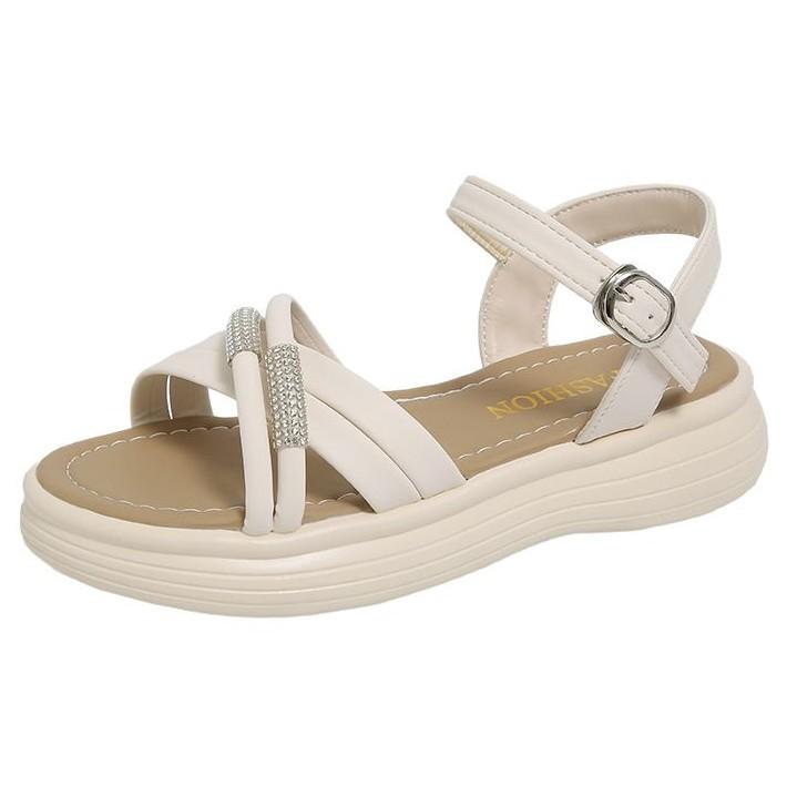 Roman sandals women's summer wear 2025 new fashion versatile fairy style platform high heels women's muffin shoes