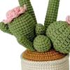 Artificial Crochet Potted Flowers, Hand Knitted Flowers for Office
