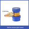 Baishengnniu Car AC R134a Adjustable Quick Couplers