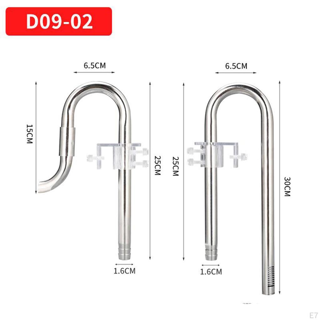 Lily In for Aquarium Planted Tank (12MM )