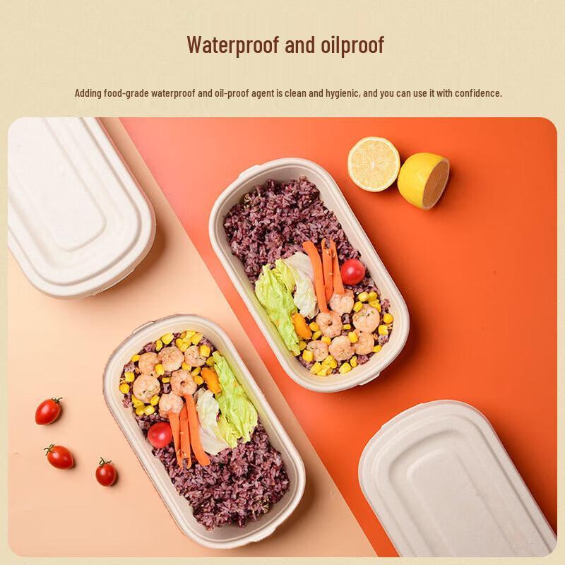 Biologisch abbaubarer Einweg-Lebensmittelbehälter mit Papierdeckel