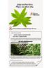 Moroccan Lemon Verbena Essential Oil Facial Serum for Aromatherapy and Moisturizing