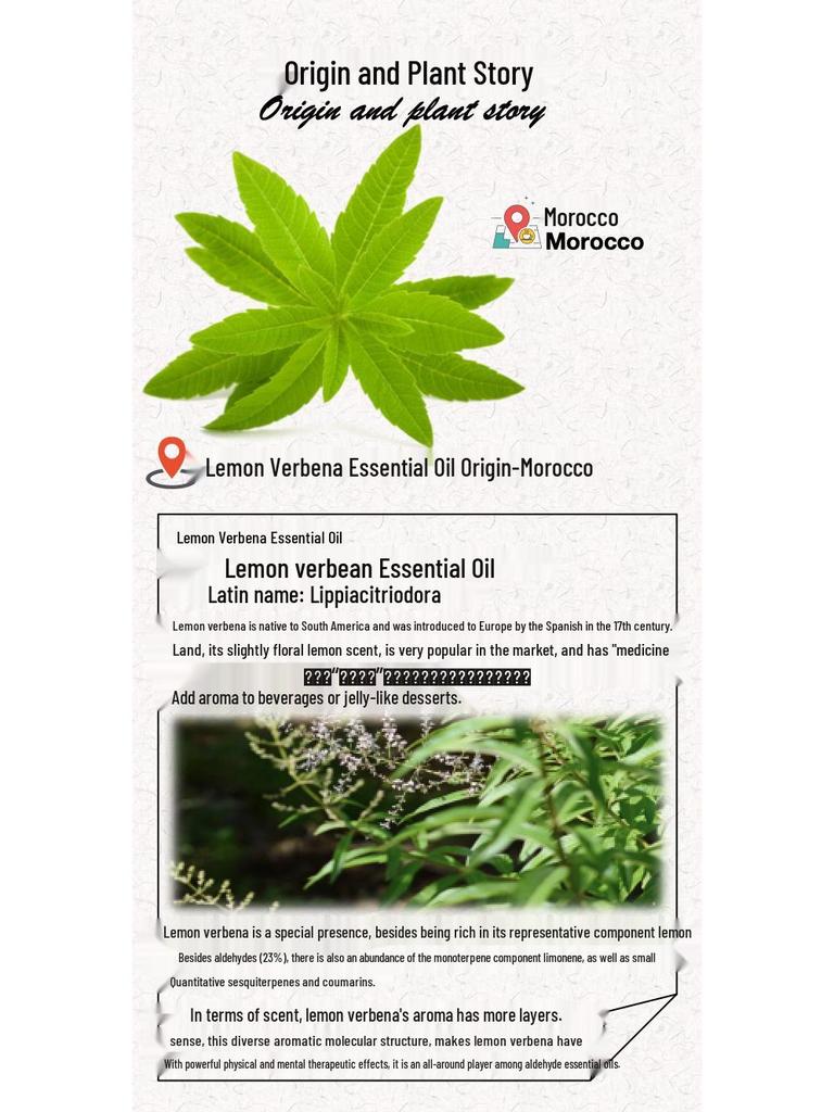 Moroccan Lemon Verbena Essential Oil Facial Serum for Aromatherapy and Moisturizing