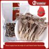 Guangwang Rongxin Deer Antler Mushrooms (4x100g)
