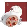 KOAELEMENTS Bianstone Massage Device CN Plug (adapter Included)
