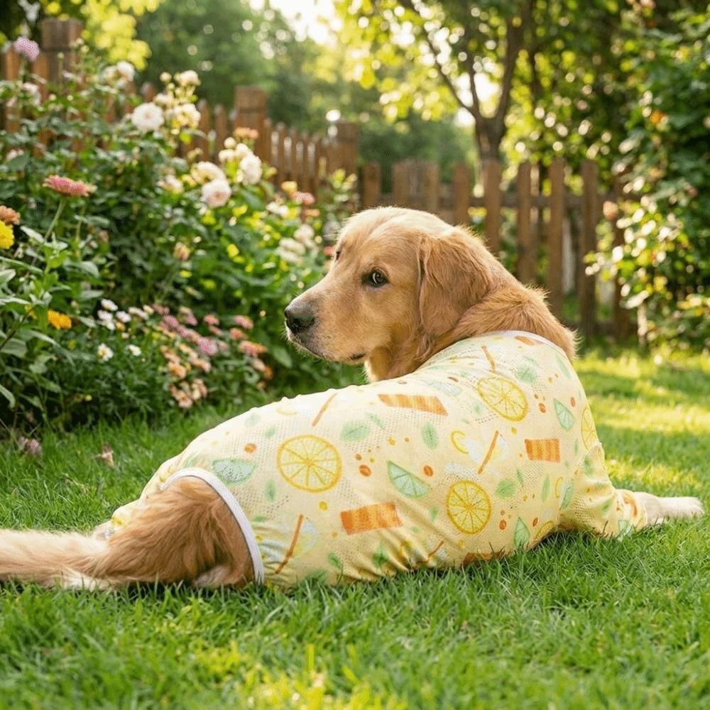Ultra-thin Breathable Dog Sunscreen Clothes Sun Protection Cartoon Print Pet Four-Legged Clothes Lightweight Dog Jumpsuit