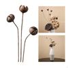 Dried Flower Arrangement in Vase, DIY Centerpiece for Bedroom and Event Decor
