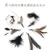 SONGWAY Cat Toys, 6-Piece Cat Teaser Set with Replacement Bells, for Exercise and Stress Relief, Black Feathers (Single)
