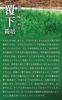 Kyoto Ujitawara Tea Plantation Uji Matcha Kyo No Hana 40g Matcha In a Tin 29138