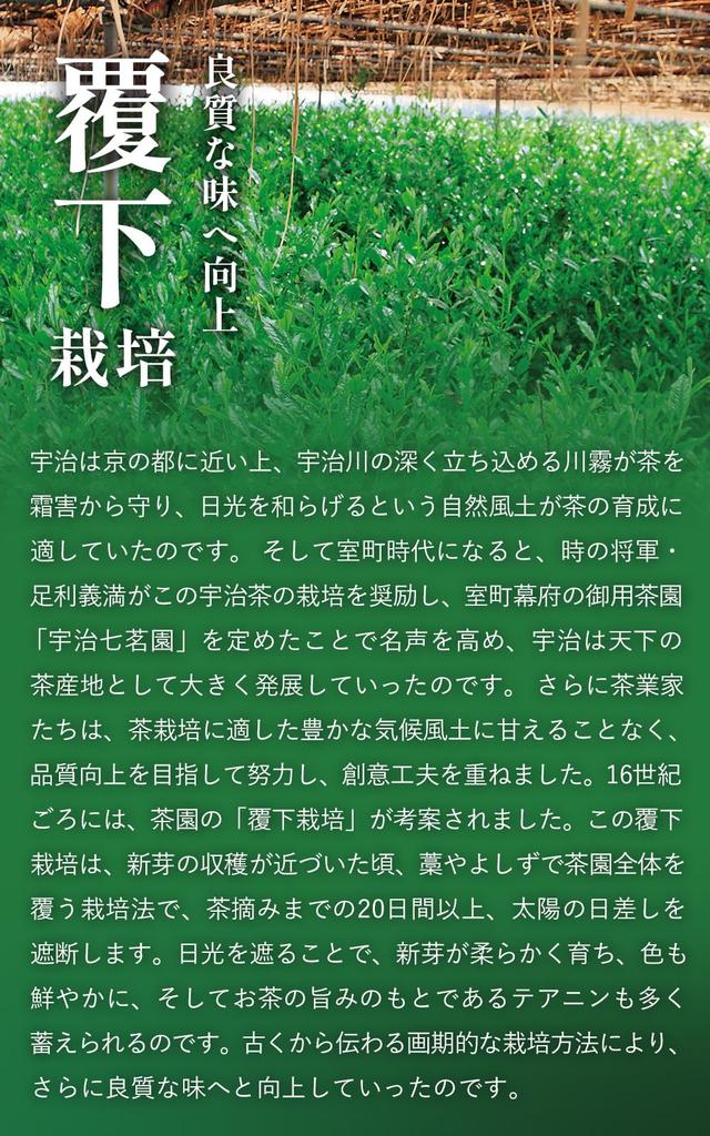 Kyoto Ujitawara Tea Plantation Uji Matcha Kyo No Hana 40g Matcha In a Tin 29138