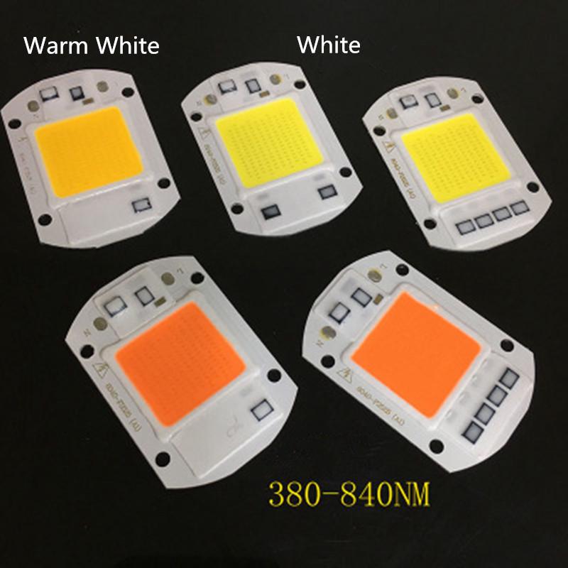 Hot! 220V LED Floodlight 20W/30W/50W White/Warm Light COB Chip Integrated Smart IC Driver Lamp