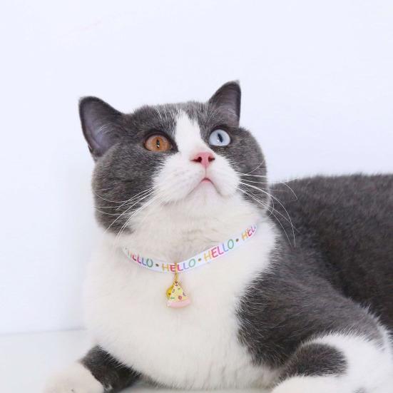 stylish cat collar