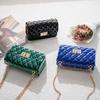Argyle Jelly Small Handbag 2024: Fashionable & Versatile Shoulder Chain Bag for Women