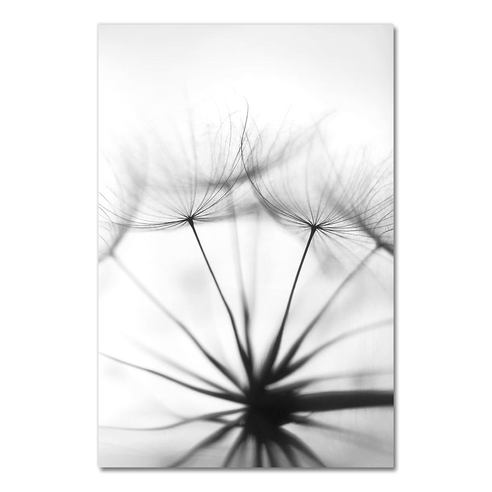 Posters Black And White Flower Print Fresh Wall Art Feather Dandelion Pictures Canvas Living Room Decoration Wall Paintings