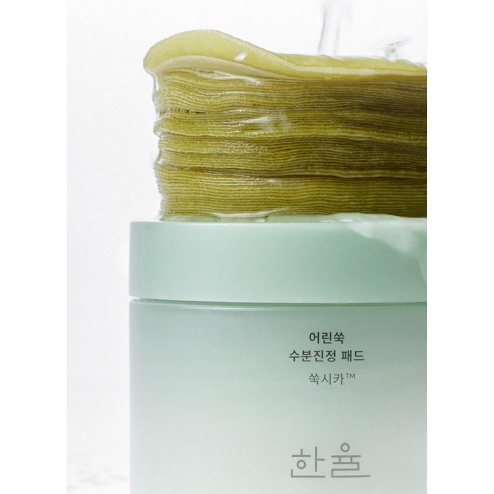Hanyul Artemisia Moisture Calming Pad 170ml (60 Sheets)