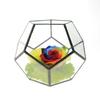 Nordic Geometric Glass Preserved Flower Decor for Home, Coffee Shop, or Wedding