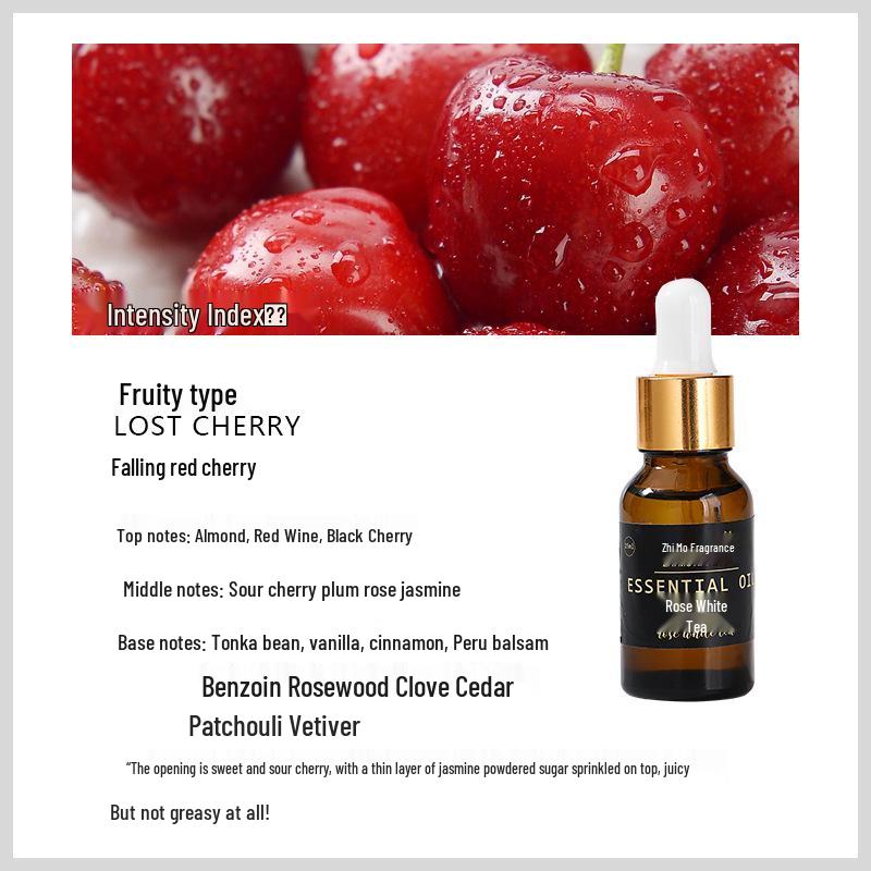 15ml Aromatherapy Essential Oil Diffuser - Portable, Flameless Air Freshener for Home and Hotel.