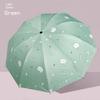Manual Large Folding Umbrella for Female Students, Dual-Purpose Sun and Rain Umbrella, Sun Protection Umbrella