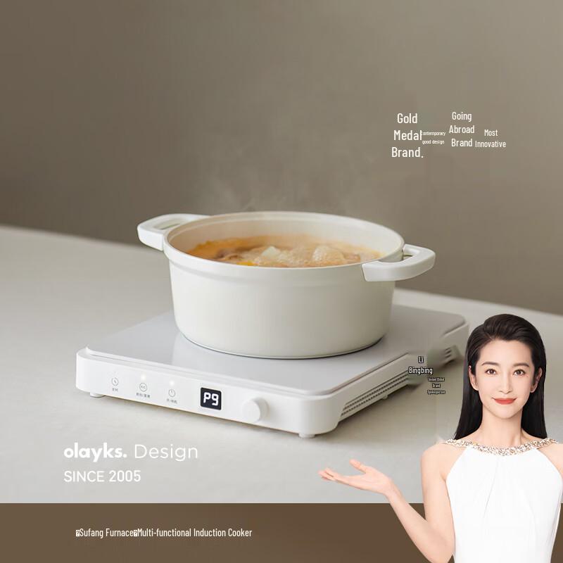 Olayks 2200W Multi-function Induction Cooker CN plug (adapter included)