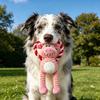 Squeaky Dog Toy Cotton Rope Dog Toy with Built-In Sound Generator Durable Plush Chew Toy for Small Large Dogs Teeth Cleaning Boredom Relief Pet Toys