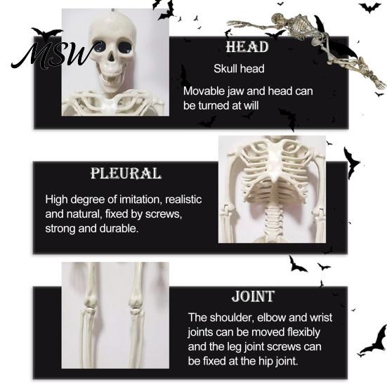 Posable Skeleton Prop for Haunted House Halloween Decoration, 3Ft Life Size Full Body Human Bone, Realistic Standing Horror Atmosphere with