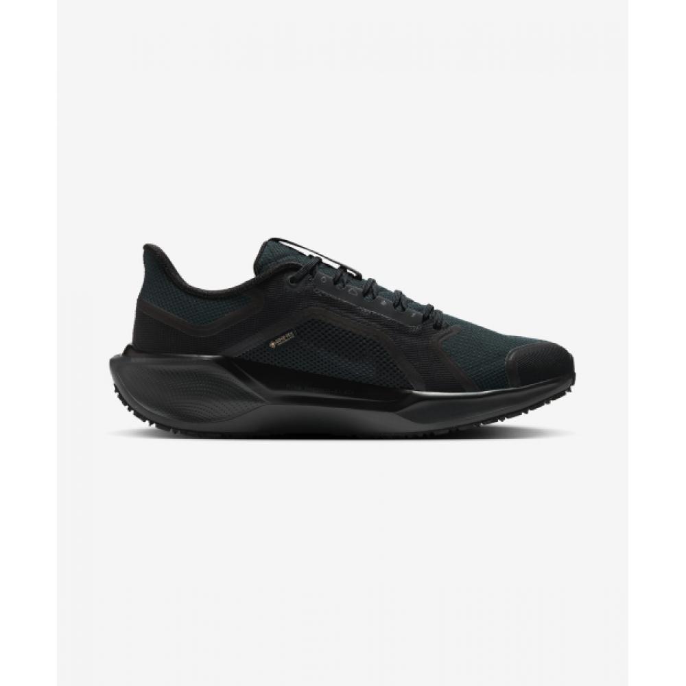 Nike Pegasus 41 Gtx M   Black  Anthracite Fq1356 001
