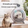 Pet Drying Box with Air Outlet: Bathing, Blow-Drying, Hair Removal, Disinfection, Odor Removal, Temperature Control for Puppies and Kittens