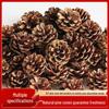 Kiefernzapfen Weihnachtsdekoration: Kiefernzapfen & Trockenblumen DIY Set
