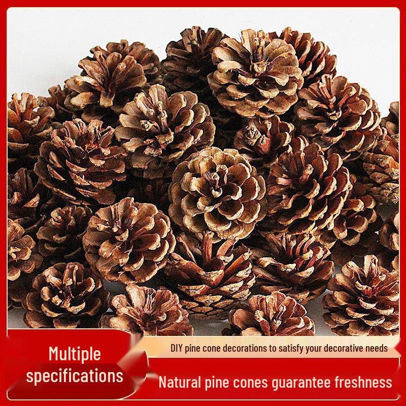 Kiefernzapfen Weihnachtsdekoration: Kiefernzapfen & Trockenblumen DIY Set