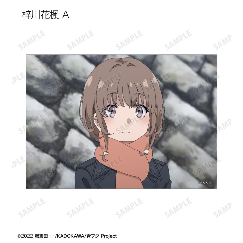 Rascal Does Not Dream of a Dreaming Girl Trading Scene Bromide Box 12-Piece