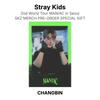 Stray Kids 2nd World Tour MANIAC in Seoul SKZ MERCH PRE-ORDER SPECIAL GIFT Official Photocard