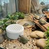 Plastic Turtle Poop Collector Basking Platform Reptile Waste Container  Turtle Tank