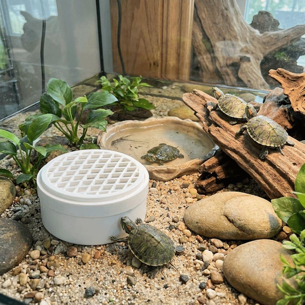 Plastic Turtle Poop Collector Basking Platform Reptile Waste Container Turtle Tank