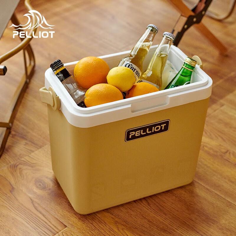 Pioneer 24L Outdoor Portable Cooler Box