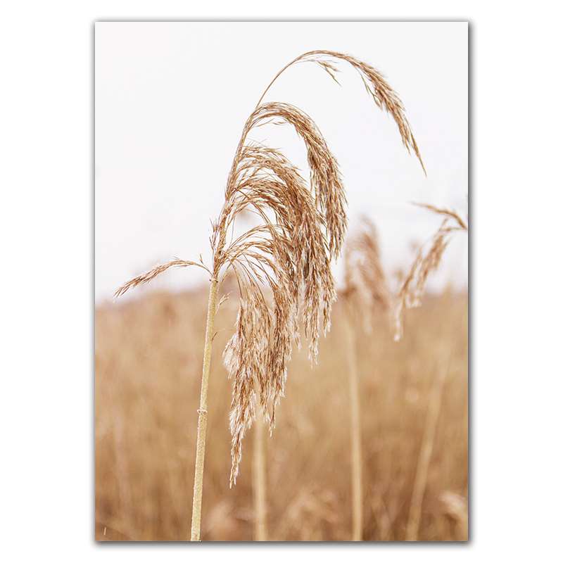 Landschaft Gras Herbst Landschaft Drucke Kunst Leinwand Malerei Wilde Pflanze Natur Raum Dekoration Bild Wand Poster FJ031