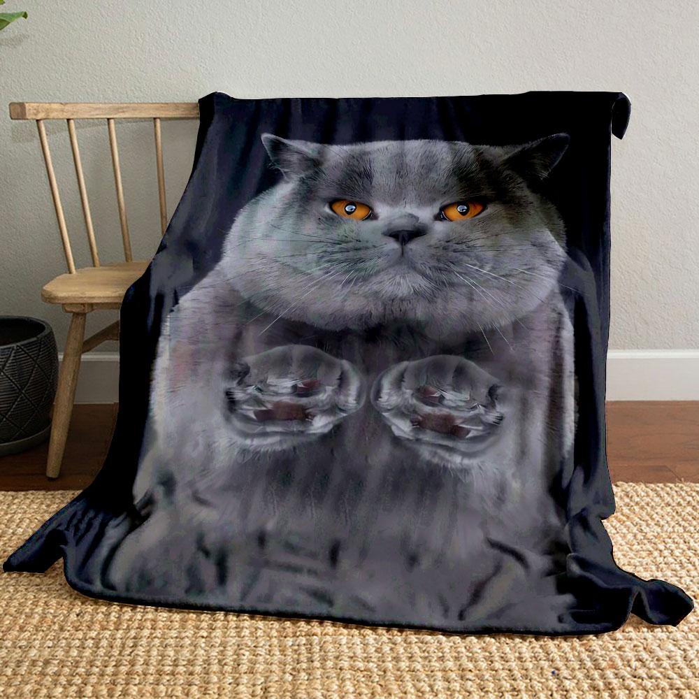 

Grumpy Grey Cat Blanket bedroom Blanket for Livingroom Couch lunch break Soft throw for Friend s festival Gift 80cm x 120cm