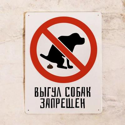 No Dog Walking Allowed Tin Sign 20x30cm, Pet Rule Outdoor Warning Plaque