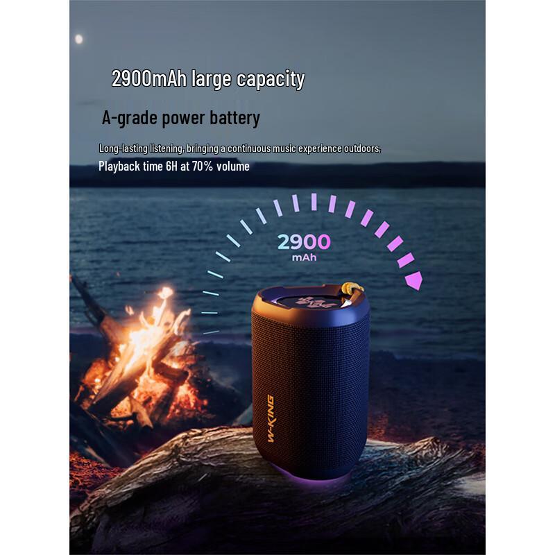 W-King D110 Portable Bluetooth Speaker