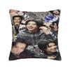 Lngshot Ohyul Woojin Louis Pillow Case Morden Pillow Cover Comfy Pillowcases For Sofa Bedroom Home Decor