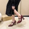 Fashion Footwear Fashion Cross-tied Ankle Women Pumps Heeled Shoes Spring Autumn Female Pointed Toe Buckle Ladies Square Heels Shoes