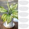 10pcs New Round Flower Pot Tray Plastic Clear Flower Pot Base Garden Accessory Trash Storage Plant Saucer Home