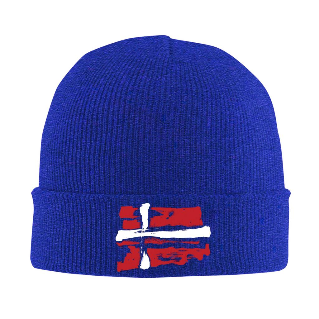 Denmark Flag Pencil Strokes Bonnet Hats  Beanie Hats Autumn Custom Knit Hat Trendy Unisex Women Kpop Elastic Cap