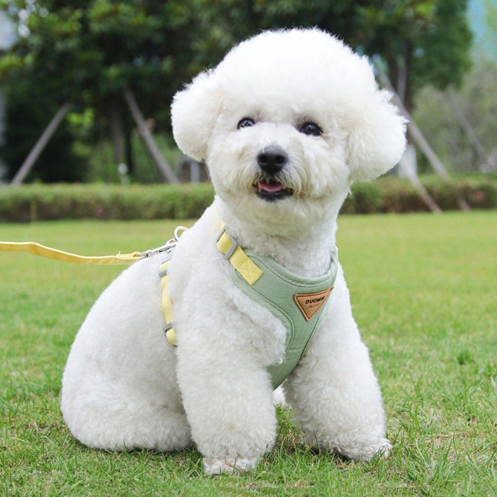 

Soft Dog Harness and Leash Set Breathable Dog Harness with Traction Leash Dog Chest Straps Walking L жёлтый