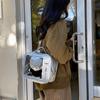 Ulzzang TV Model Backpack PU Shoulder Bag Cute Transparent Layer Ita Bag  Daily