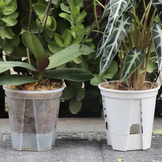 Samozavlažovací květináč Prodyšný průhledný plastový květináč pro Phalaenopsis Ovládání Automatický zásobník vody Květináč pro domácí kancelář